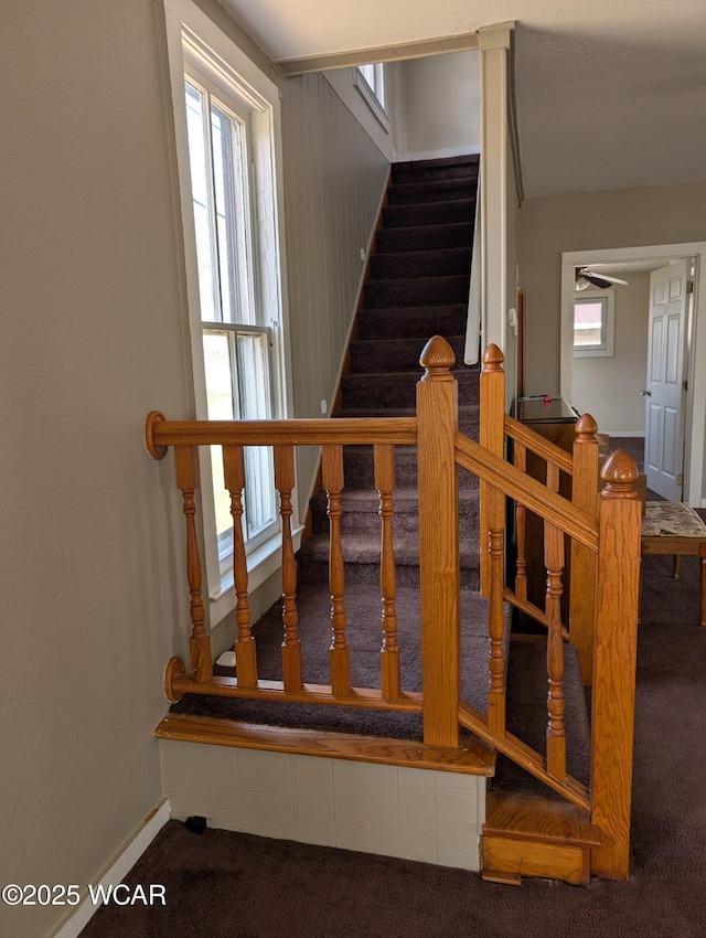 217 Center St, Vaughnsville, OH 45893 - stairway with carpet flooring, a healthy amount of sunlight, and baseboards