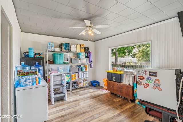 408 Vine St, Kenton, OH 43326 - storage with ceiling fan