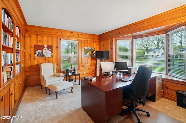 office featuring carpet floors, wooden walls, and a wealth of natural light
