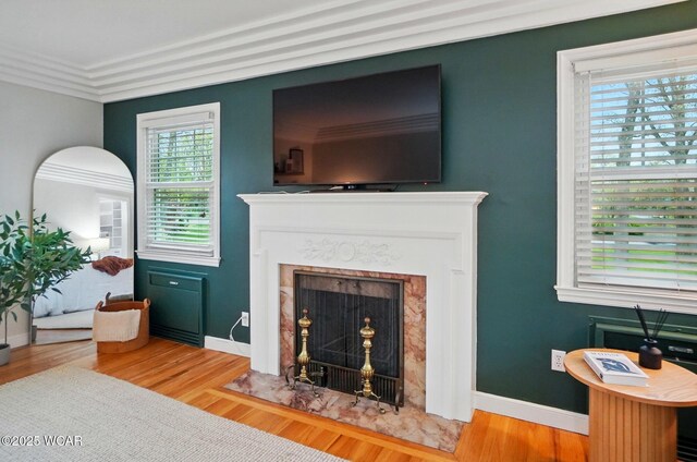 living room featuring baseboards, wood finished floors, and a fireplace