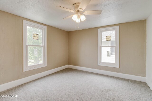 931 Richie Ave, Lima, OH 45805 - photo 19