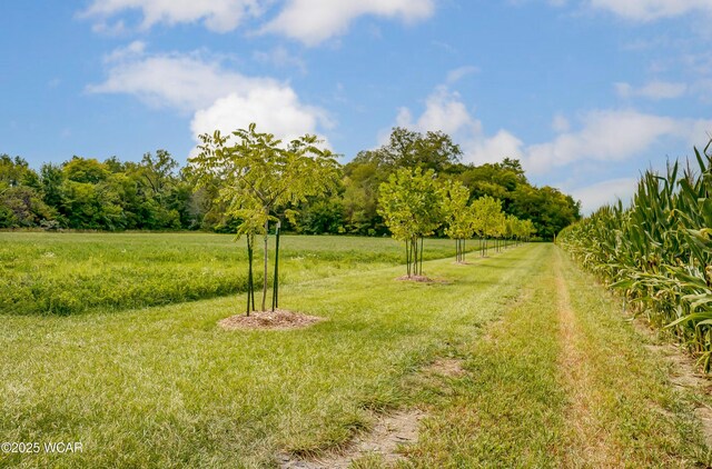 TBD Dog Creek Rd, Middle Point, OH 45863