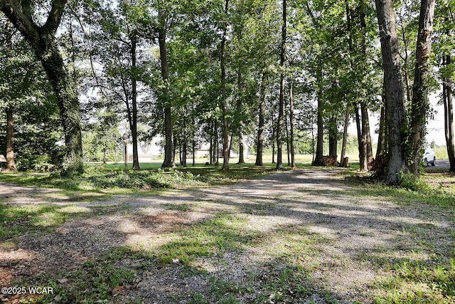 5600 E Hanthorn Rd, Lima, OH 45806 - photo 62