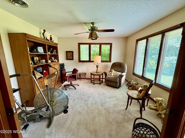 38 La Plas Dr, Findlay, OH 45840 - photo 24