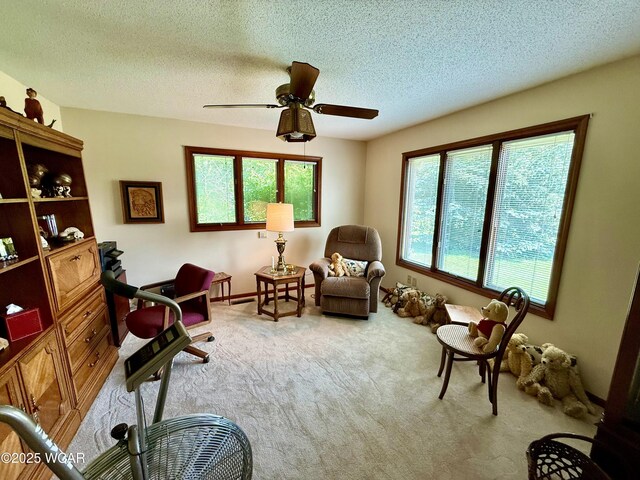 38 La Plas Dr, Findlay, OH 45840 - photo 25