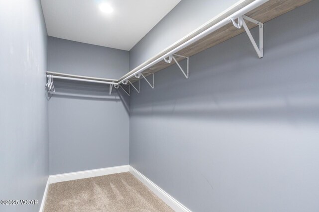 1758 W Hume Rd, Lima, OH 45806 - spacious closet featuring carpet
