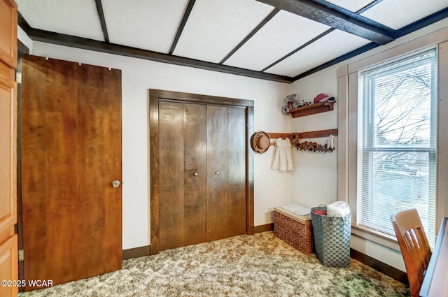 interior space featuring baseboards and carpet flooring