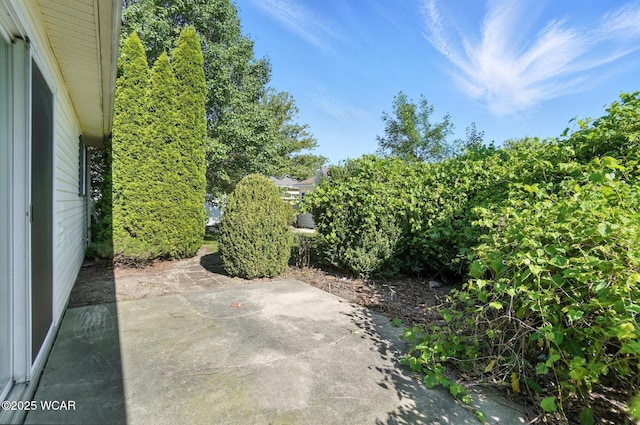 807 Centerfield Dr, Paulding, OH 45879 - view of patio / terrace