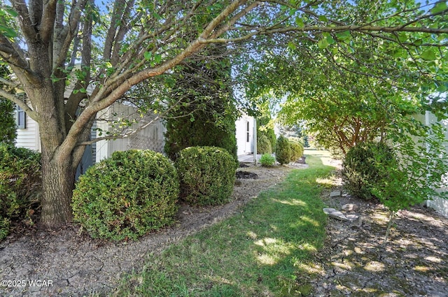 807 Centerfield Dr, Paulding, OH 45879 - view of yard
