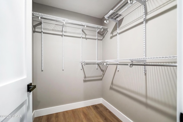 spacious closet with wood-type flooring