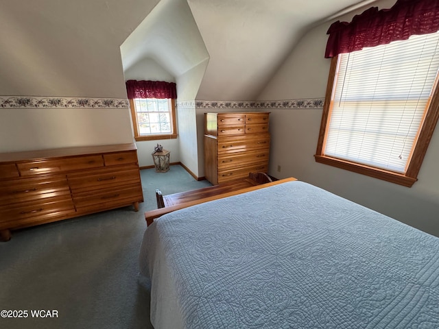 242 S Main St, Ottawa, OH 45875 - bedroom featuring vaulted ceiling and carpet floors
