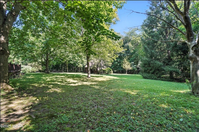 3798 Kissinghollow Dr, Lima, OH 45801 - photo 41