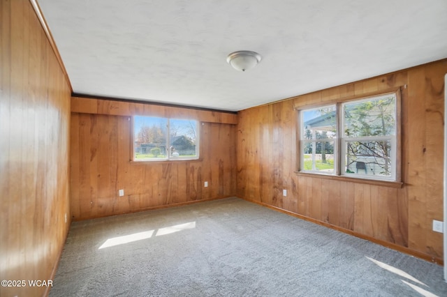 402 S Fifth St, Continental, OH 45831 - empty room featuring wooden walls, a healthy amount of sunlight, and carpet