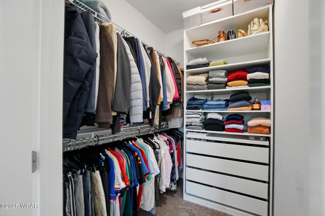 3467 Weldon Dr, Lima, OH 45806 - walk in closet featuring carpet floors