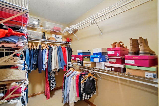4042 Bur Oak Trl, Lima, OH 45807 - spacious closet featuring carpet