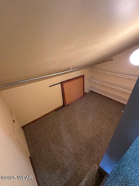 walk in closet with vaulted ceiling and carpet floors