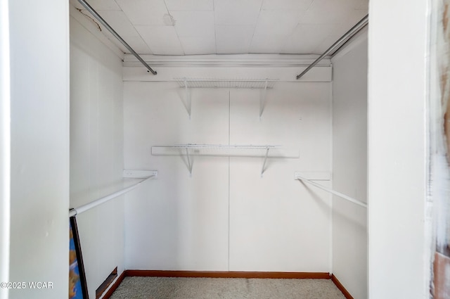 view of walk in closet