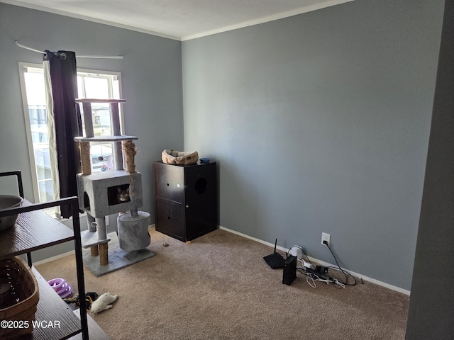 misc room with ornamental molding and carpet