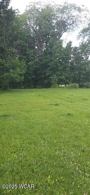 3065 County Road 205, Forest, OH 45843 - photo 5