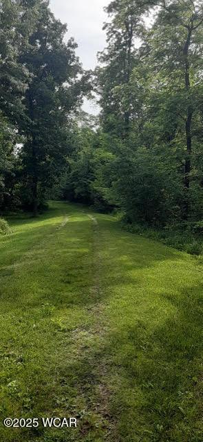 3065 County Road 205, Forest, OH 45843 - photo 2