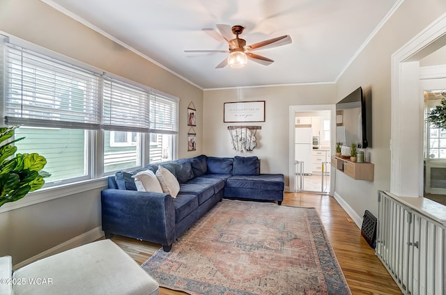 living area with crown molding, a ceiling fan, baseboards, and light wood finished floors