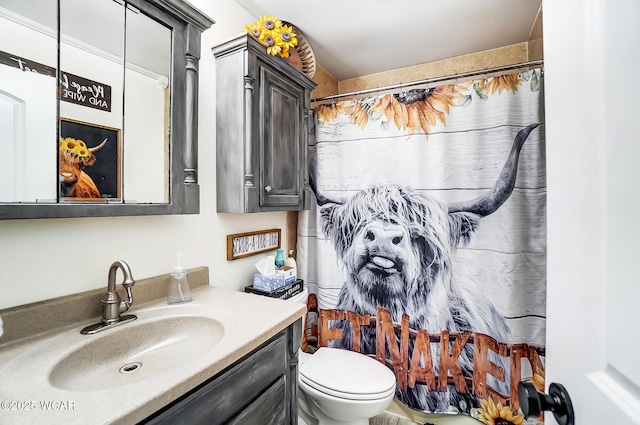 bathroom with vanity, toilet, and a shower with shower curtain