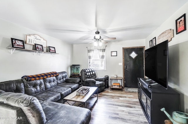 living room with ceiling fan and light hardwood / wood-style flooring