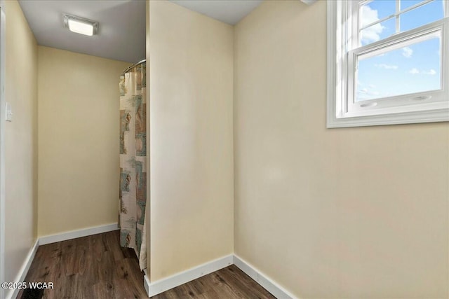 bathroom featuring wood-type flooring