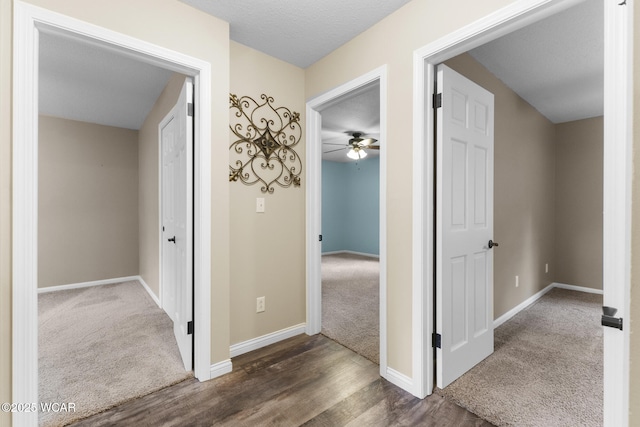 3139 Clifford Dr, Lima, OH 45805 - hallway with carpet and wood finished floors