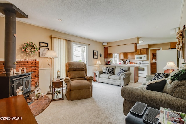 5295 E Rd, Lima, OH 45807 - living room featuring a textured ceiling, light carpet, and a wood stove