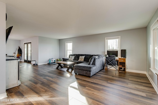 living room with dark hardwood / wood-style flooring