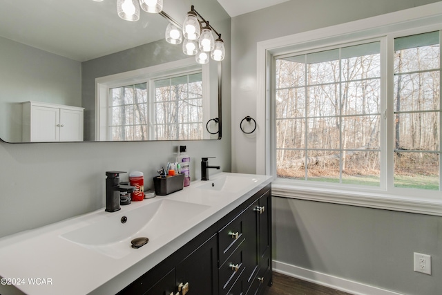 bathroom with vanity, hardwood / wood-style floors, and a wealth of natural light