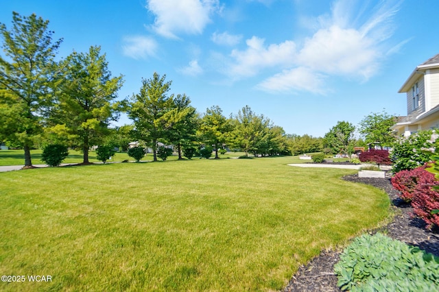 4441 Indian Hill Dr, Lima, OH 45806 - view of green lawn