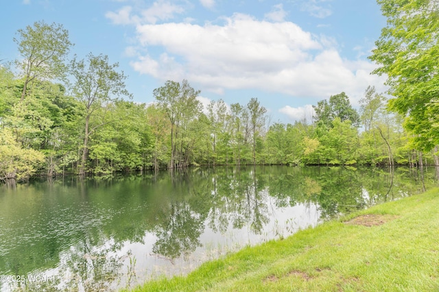 1380 Thomas Rd, New Paris, OH 45347 - water view with a heavily wooded area