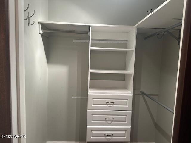 view of spacious closet