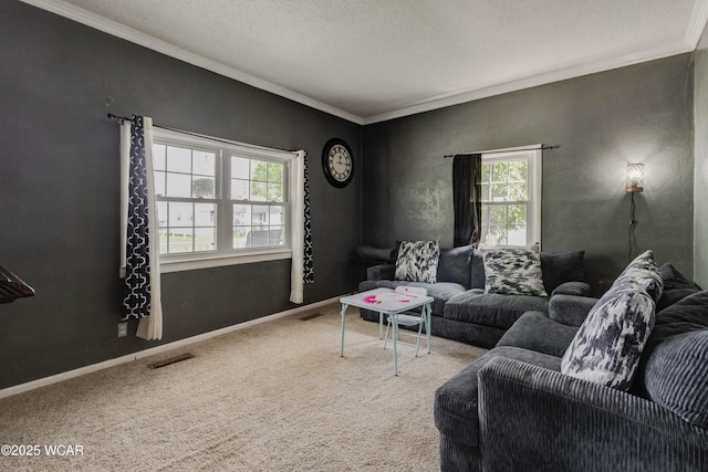213 Johns Ave, Elida, OH 45807 - living room with crown molding, carpet, a textured ceiling, and baseboards