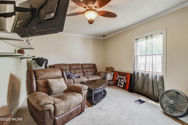 213 Johns Ave, Elida, OH 45807 - living area featuring carpet flooring, crown molding, a ceiling fan, and a textured ceiling