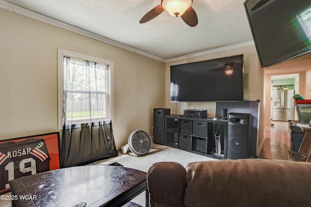 213 Johns Ave, Elida, OH 45807 - living area with ornamental molding, a ceiling fan, and a textured ceiling