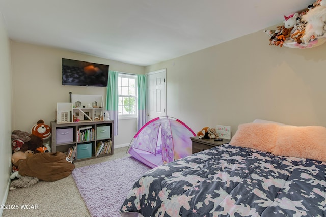 213 Johns Ave, Elida, OH 45807 - bedroom featuring carpet floors, a closet, and baseboards