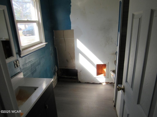 bathroom featuring vanity and wood finished floors