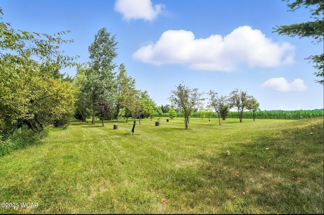 18689 Galvin Rd, Middle Point, OH 45863 - photo 59