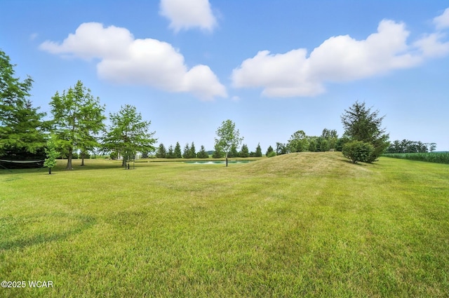 18689 Galvin Rd, Middle Point, OH 45863 - photo 51
