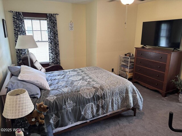 607 W S St, Saint Marys, OH 45885 - photo 21