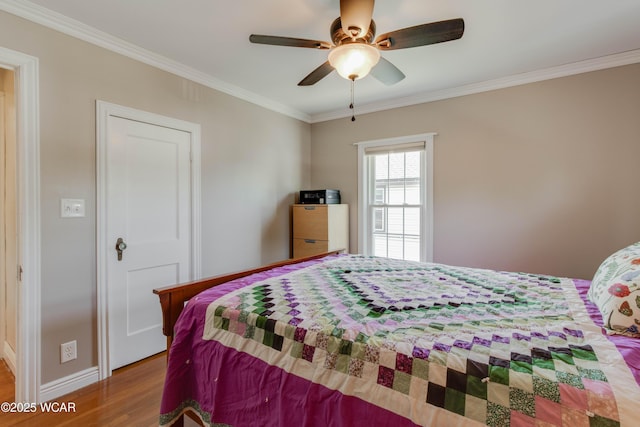 1024 Burch Ave, Lima, OH 45801 - photo 28