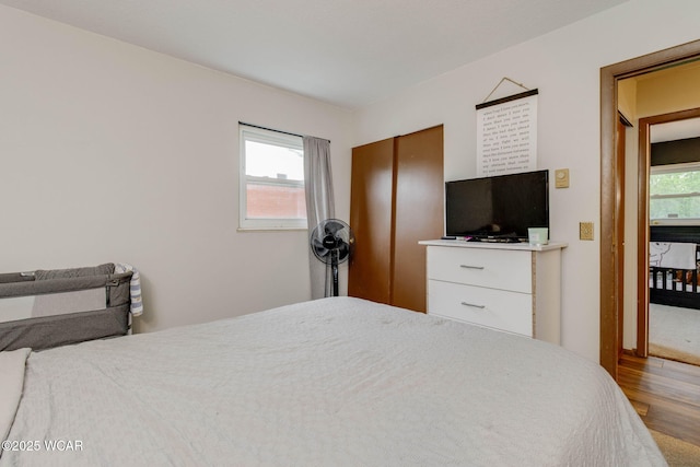 1153 Bahama Dr, Lima, OH 45801 - bedroom featuring a closet and wood finished floors
