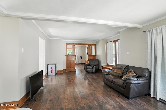 1574 Oakland Pkwy, Lima, OH 45805 - living area featuring plenty of natural light, dark wood-type flooring, and ornamental molding
