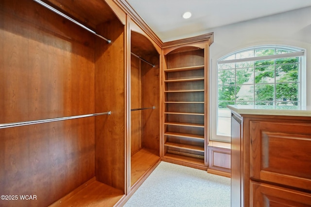 7 Estate Dr, Lima, OH 45805 - view of spacious closet