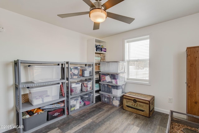 storage area featuring ceiling fan