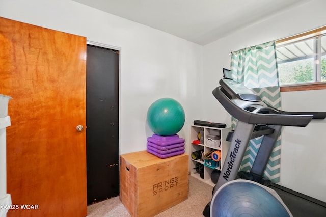 718 Wildwood Ave, Lima, OH 45807 - workout room with carpet flooring