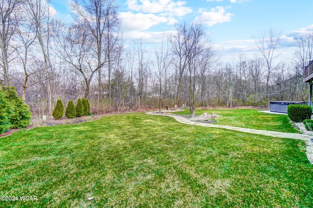 view of yard featuring a hot tub